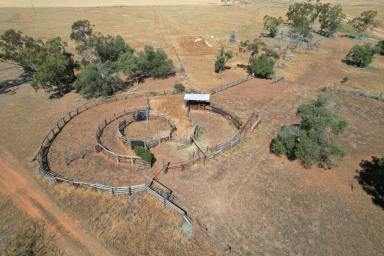 Mixed Farming For Sale - NSW - Carinda - 2831 - Myallawa  (Image 2)