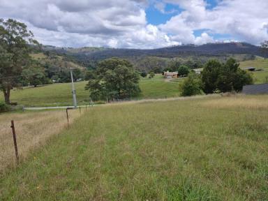 Residential Block Sold - VIC - Buchan - 3885 - BEAUTIFUL MOUNTAIN VIEWS  (Image 2)