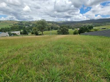 Residential Block Sold - VIC - Buchan - 3885 - BEAUTIFUL MOUNTAIN VIEWS  (Image 2)