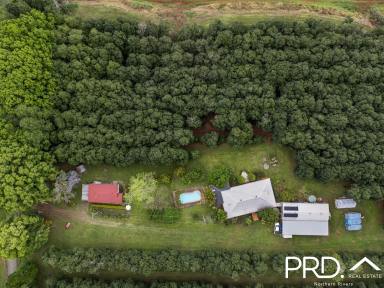 Lifestyle For Sale - NSW - Dorroughby - 2480 - 17+ Acres with Home, Cottage, Studio, Pool  (Image 2)