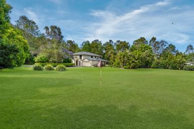 House For Sale - QLD - Highvale - 4520 - Escape to the hidden oasis with majestic mountain views!  (Image 2)