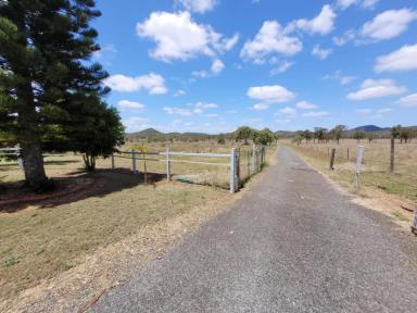 House For Sale - QLD - Kunwarara - 4702 - Lovely home on 100 fertile acres (40.01ha)  with great water  (Image 2)