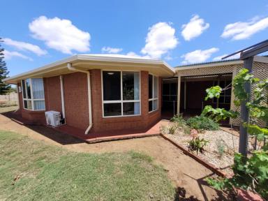 House For Sale - QLD - Kunwarara - 4702 - Lovely home on 100 fertile acres (40.01ha)  with great water  (Image 2)