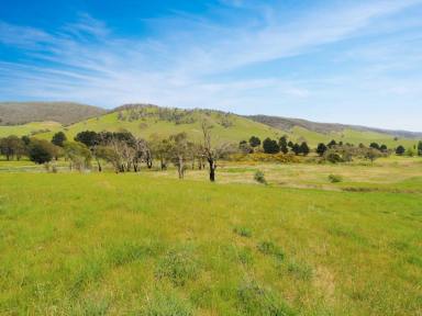 Residential Block For Sale - VIC - Omeo - 3898 - YOUR ALPINE DREAM STARTS HERE!  (Image 2)