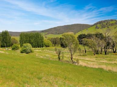 Residential Block For Sale - VIC - Omeo - 3898 - YOUR ALPINE DREAM STARTS HERE!  (Image 2)