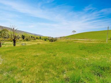 Residential Block For Sale - VIC - Omeo - 3898 - YOUR ALPINE DREAM STARTS HERE!  (Image 2)