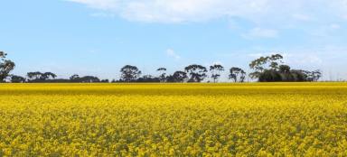 Cropping For Sale - VIC - Foxhow - 3323 - TOP CLASS SOUTH WEST VICTORIAN COUNTRY  (Image 2)