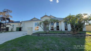 House For Sale - WA - Dudley Park - 6210 - Perfect Modern Family Home !!  (Image 2)