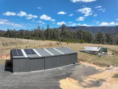 Acreage/Semi-rural Sold - NSW - Cobargo - 2550 - WORK FROM HOME IN THE MOUNTAINS  (Image 2)