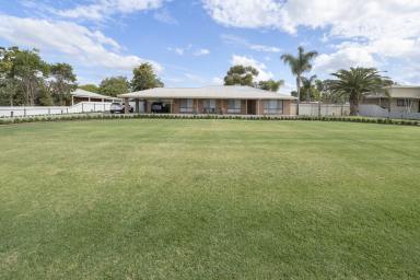 House For Sale - VIC - Swan Hill - 3585 - Stunning Brick Veneer Family Home with Acreage in Swan Hill  (Image 2)