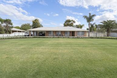 House For Sale - VIC - Swan Hill - 3585 - Stunning Brick Veneer Family Home with Acreage in Swan Hill  (Image 2)