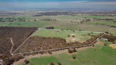 House For Sale - VIC - Waterloo - 3373 - Country Lifestyle Property With Picturesque Views  (Image 2)