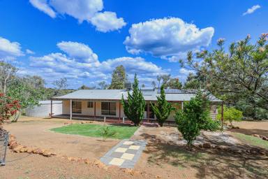 House For Sale - WA - Morangup - 6083 - Spacious Family Living in Serene Morangup  (Image 2)