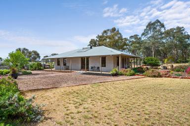 Lifestyle For Sale - VIC - Goornong - 3557 - STUNNING  MUD BRICK RURAL RETREAT ON 20 ACRES  (Image 2)