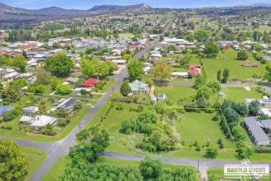 Residential Block For Sale - NSW - Tenterfield - 2372 - Leafy and Attractive.....  (Image 2)