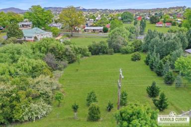 Residential Block For Sale - NSW - Tenterfield - 2372 - Leafy and Attractive.....  (Image 2)