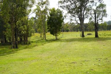 Livestock For Sale - NSW - Casino - 2470 - GRAZING & LIFESTYLE PROPERTY  (Image 2)