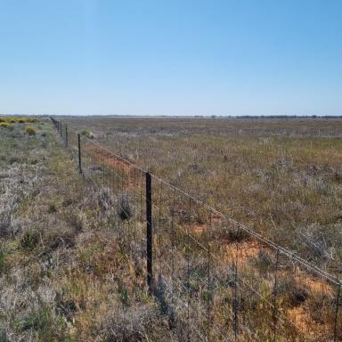 Commercial Farming For Lease - VIC - Bael Bael - 3579 - Rural Lease of 1917 acres in Northern Victoria  (Image 2)