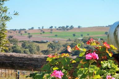 House For Sale - NSW - Merriwa - 2329 - Green, Garden and Gorgeous Views on Gooch!  (Image 2)