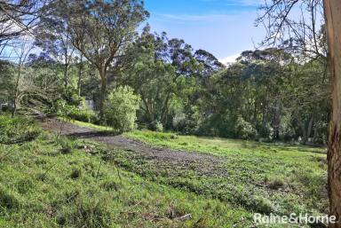 Residential Block For Sale - NSW - Mittagong - 2575 - Private & Idyllic Blank Canvas Awaits Your Inspiration.  (Image 2)