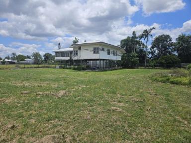 Residential Block Sold - QLD - Ingham - 4850 - 1,611 SQ.M. (OVER 1/3 ACRE) PROPERTY WITH HOUSE!  (Image 2)