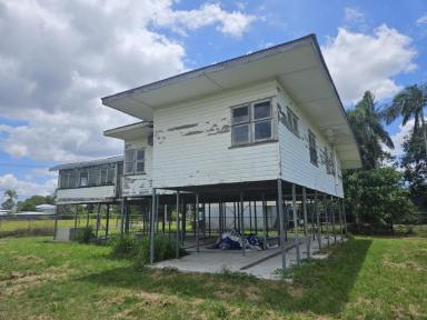 Residential Block Sold - QLD - Ingham - 4850 - 1,611 SQ.M. (OVER 1/3 ACRE) PROPERTY WITH HOUSE!  (Image 2)