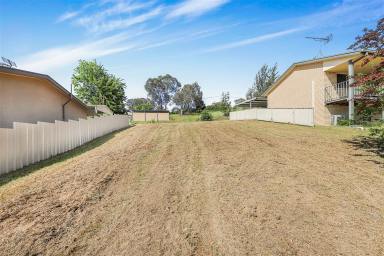 Residential Block For Sale - NSW - Tumut - 2720 - Building Block!  (Image 2)