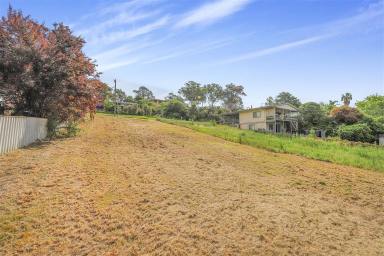 Residential Block For Sale - NSW - Tumut - 2720 - 'First homeowners delight with views'  (Image 2)