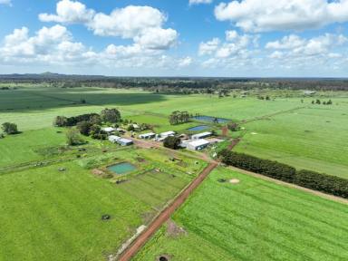 Dairy For Sale - VIC - Carpendeit - 3260 - PRODUCTIVE COLAC – COBDEN DISTRICT DAIRY FARM  (Image 2)