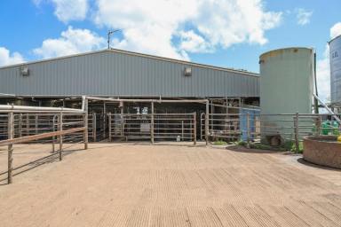 Dairy For Sale - VIC - Carpendeit - 3260 - PRODUCTIVE COLAC – COBDEN DISTRICT DAIRY FARM  (Image 2)