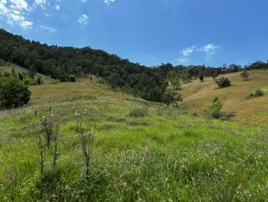 Residential Block For Sale - NSW - Number One - 2424 - Rural Escape for Sale: 40 Acres of Versatile Land!  (Image 2)