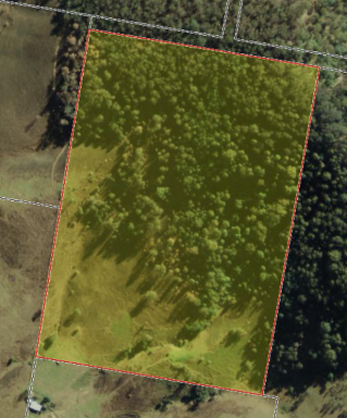 Residential Block For Sale - NSW - Number One - 2424 - Rural Escape for Sale: 40 Acres of Versatile Land!  (Image 2)