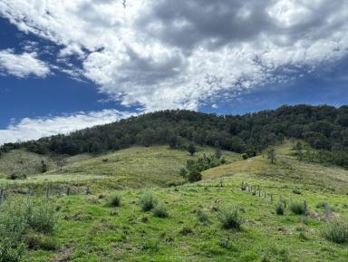 Residential Block For Sale - NSW - Number One - 2424 - Rural Escape for Sale: 40 Acres of Versatile Land!  (Image 2)