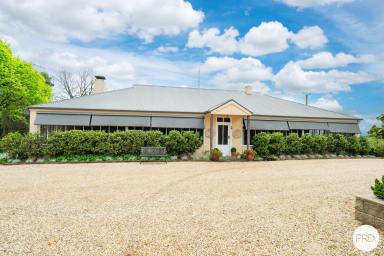 Lifestyle For Sale - NSW - Wirlinga - 2640 - STUNNING LIFESTYLE RETREAT  (Image 2)