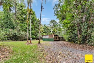 House For Sale - QLD - Lower Daintree - 4873 - First Home Buyers - Your Chance is NOW!  (Image 2)