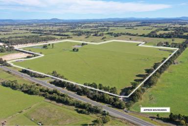 Lifestyle For Sale - VIC - Lucknow - 3875 - Lifestyle Or Turnout Paddock  (Image 2)