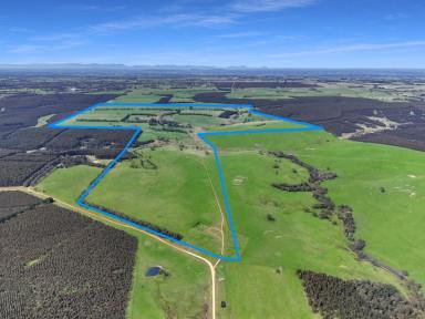 Mixed Farming Sold - VIC - Nareen - 3315 - Expressions of Interest " Kowarna" 864.27 Acres - 349.76 Hectares  (Image 2)