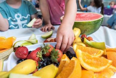 Business For Sale - QLD - Coolum Beach - 4573 - Own a Thriving Healthy Food Service for Childcare Centres, A Unique Opportunity  (Image 2)