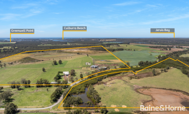 Dairy For Sale - NSW - Pyree - 2540 - Experience the Perfect Blend of Farm Life and Comfort  (Image 2)