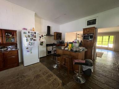 House For Sale - NSW - Lightning Ridge - 2834 - Spacious 4 bedroom, 3 bathroom family home  (Image 2)