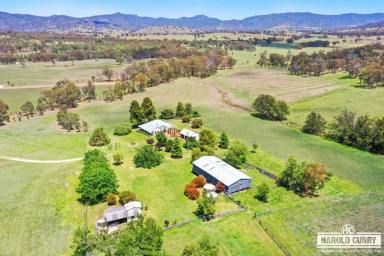 Lifestyle For Sale - NSW - Tenterfield - 2372 - Warrendene Homestead - Circa 1908.....  (Image 2)