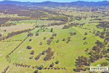 Lifestyle For Sale - NSW - Tenterfield - 2372 - Warrendene Homestead - Circa 1908.....  (Image 2)