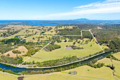 Livestock Auction - NSW - Coila - 2537 - Coila Creek Farm - A Private & Picturesque Coastal Location  (Image 2)