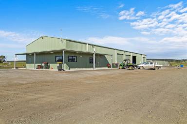 Livestock For Sale - VIC - Rosedale - 3847 - STATE-OF-THE-ART POULTRY ENTERPRISE  (Image 2)