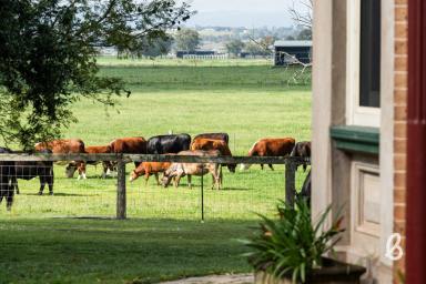 Other (Rural) Auction - NSW - Singleton - 2330 - "GREENWOOD'" | REMARKABLE HUNTER VALLEY ESTATE  (Image 2)