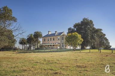 Other (Rural) Sold - NSW - Singleton - 2330 - "GREENWOOD'" | REMARKABLE HUNTER VALLEY ESTATE  (Image 2)
