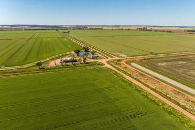 Cropping Auction - NSW - Murrami - 2705 - Riverina irrigation offering scale and diversity  (Image 2)