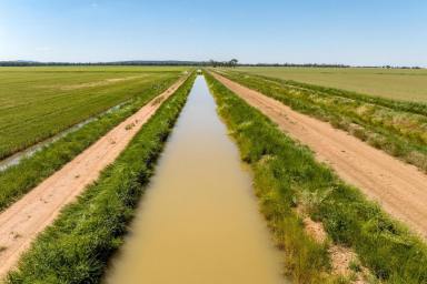 Cropping Auction - NSW - Murrami - 2705 - Riverina irrigation offering scale and diversity  (Image 2)