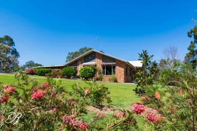 House For Sale - NSW - Barrington - 2422 - Small Farm - Big Dreams!  (Image 2)