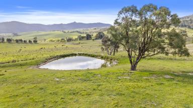 Acreage/Semi-rural For Sale - NSW - Sodwalls - 2790 - Discover Brindabella: Your All-Season Escape in Sodwalls  (Image 2)